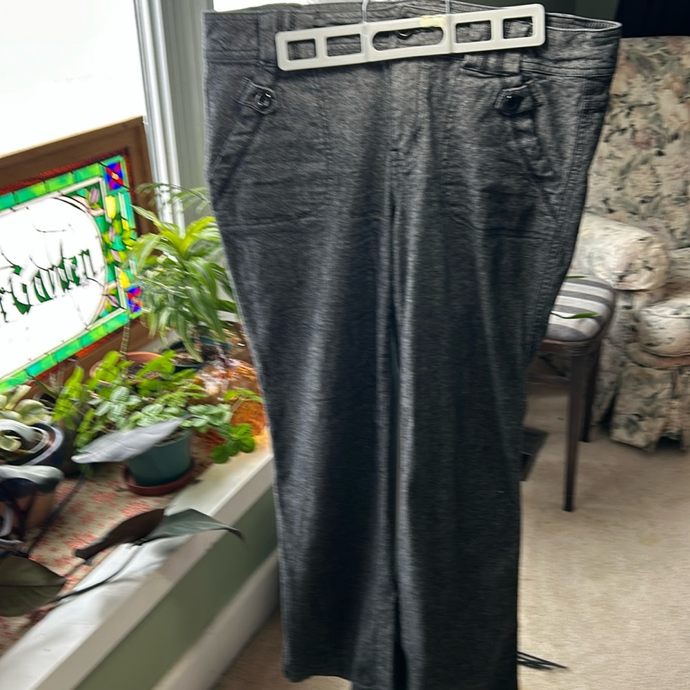 Size 13 BeeBop pants